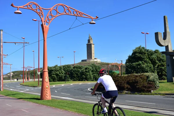 Man Cycling Promenade Public Park Trees Bushes Grass Sunny Day — Stock Photo, Image