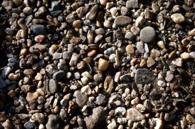 Sağlam doku taşlar. Taşlar sert arka plan. Güneş ışığı ile nehir.