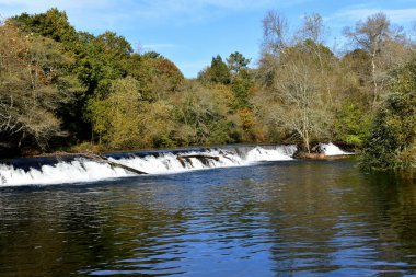 Orman nehir ve şelale ile. Sonbahar renkleri, mavi gökyüzü bulutlu ağaçlarıyla. Galiçya, İspanya.