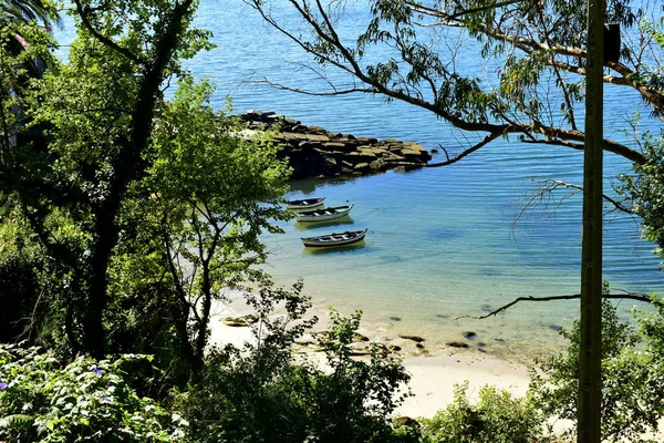 Small beach with clear water, trees, exuberant vegetation and boats. Rocks and sea with green, blue and turquoise colours, sunny day. Galicia, Spain.