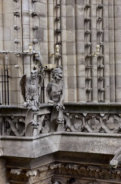 Kathedraal Notre Dame Parijs Frankrijk Vuurspuwers Chimaera Monsters Demonen — Stockfoto