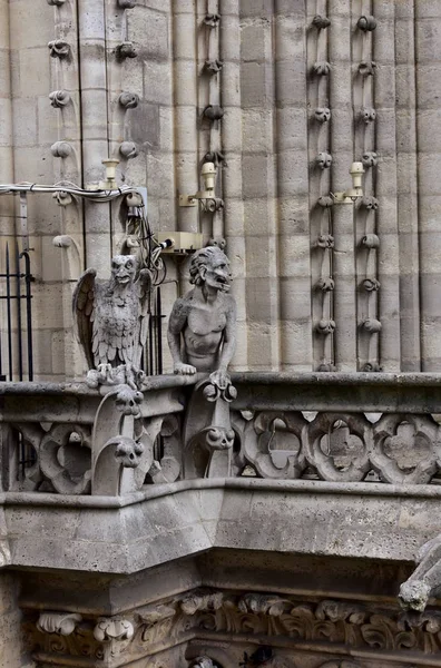 Kathedraal Notre Dame Parijs Frankrijk Vuurspuwers Chimaera Monsters Demonen Rechtenvrije Stockfoto's