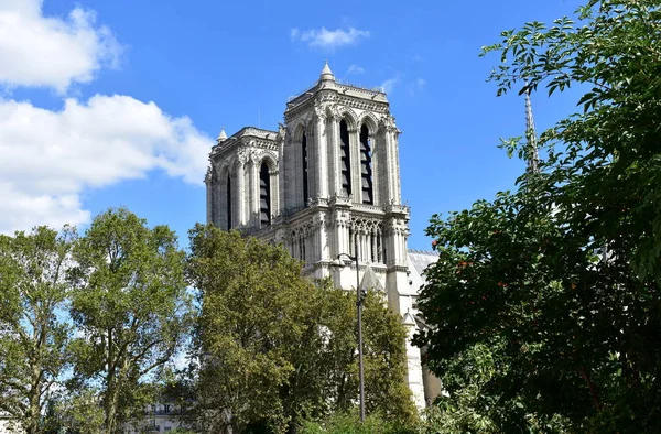 Cattedrale Notre Dame Dalla Senna Passeggiata Sul Fiume Alberi Torri — Foto Stock