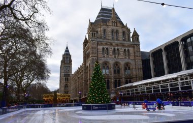 Doğal Tarih Müzesi Noel buz pateni Buz pateni insanlar. London, Büyük Britanya, Ocak 2019.