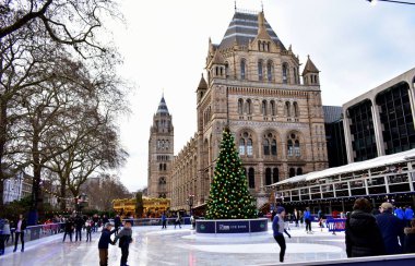 Doğal Tarih Müzesi Noel buz pateni Buz pateni insanlar. London, Büyük Britanya, Ocak 2019.