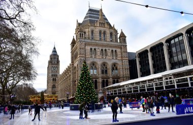 Doğal Tarih Müzesi Noel buz pateni Buz pateni insanlar. London, Büyük Britanya, Ocak 2019.