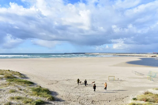 Gente Paseando Con Perros Una Playa Con Puerto Día Nublado —  Fotos de Stock