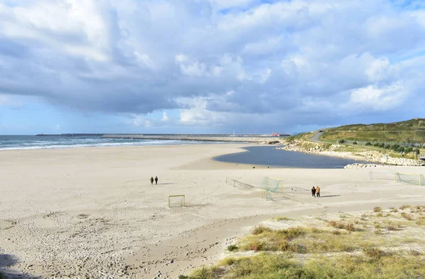 Gente Paseando Con Perros Una Playa Con Puerto Día Nublado —  Fotos de Stock