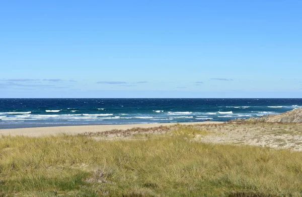 Spiaggia Selvaggia Con Erba Dune Sabbia Mare Blu Con Onde — Foto Stock