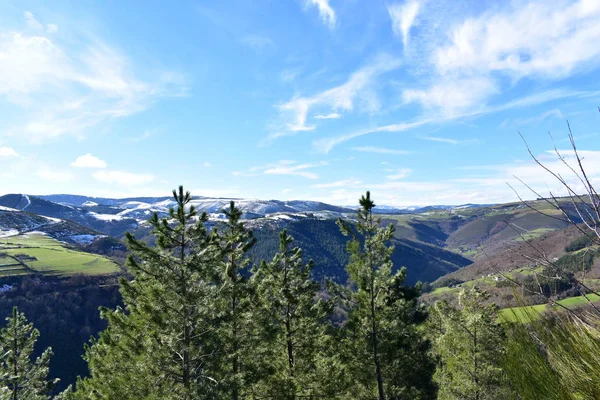 Paisagem Inverno Com Montanhas Nevadas Pinheiros Vale Encostas Com Floresta — Fotografia de Stock