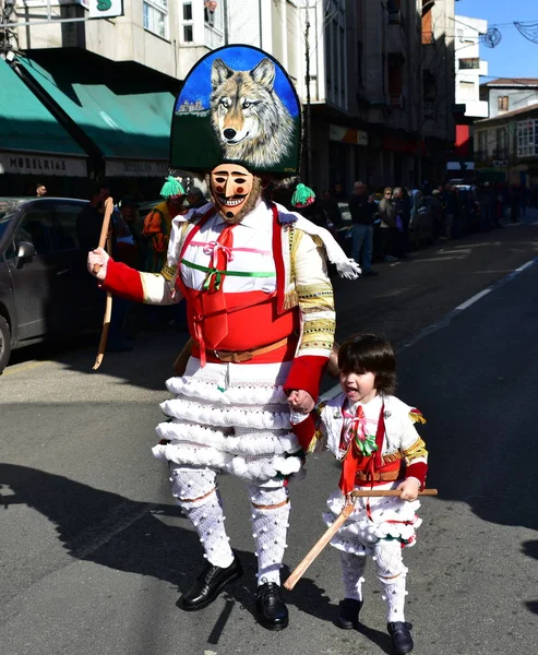 Verin Espanha Fevereiro 2019 Carnaval Famoso Desfile Rua Com Trajes — Fotografia de Stock