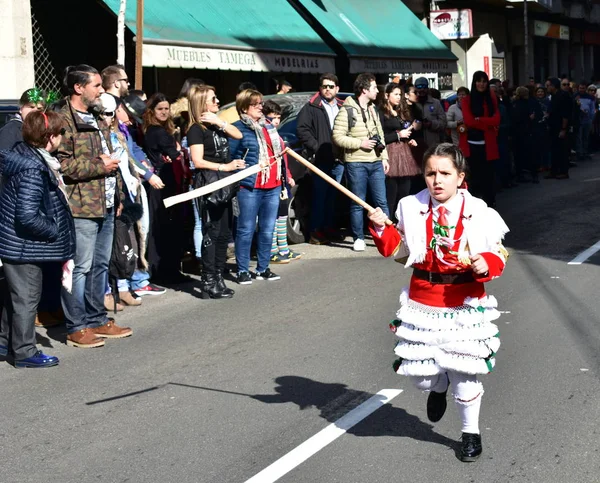 Verin Espagne Février 2019 Célèbre Carnaval Défilé Rue Avec Des — Photo