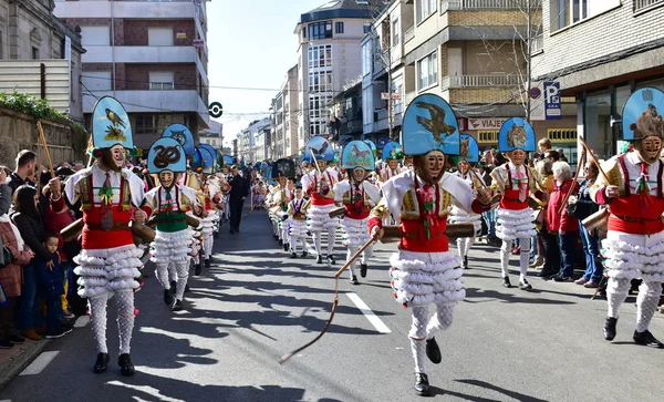 Verin Spagna Feb 2019 Famoso Carnevale Sfilata Strada Con Costumi — Foto Stock