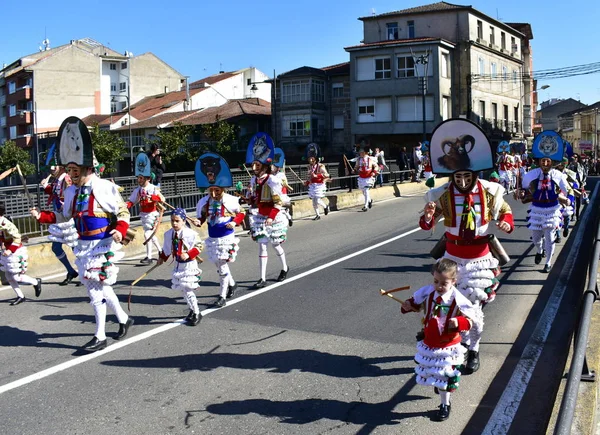 Verin Espanha Fevereiro 2019 Carnaval Famoso Desfile Rua Com Trajes — Fotografia de Stock