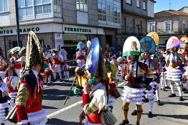 Verin Spagna Feb 2019 Famoso Carnevale Sfilata Strada Con Costumi — Foto Stock