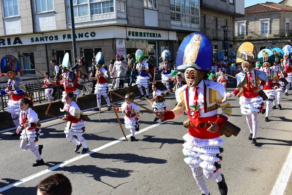 Verin Espanha Fevereiro 2019 Carnaval Famoso Desfile Rua Com Trajes — Fotografia de Stock