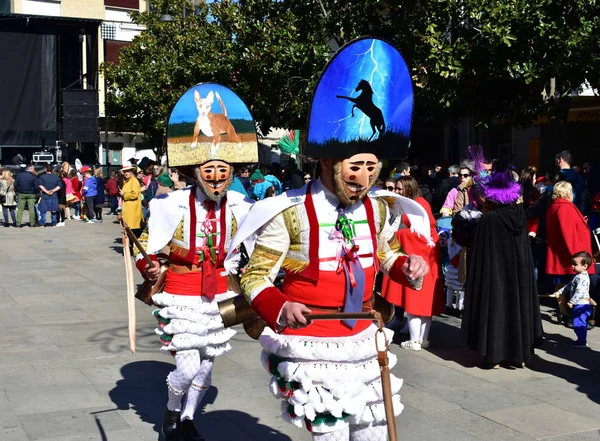 Célèbre Carnaval Défilé Rue Verin Avec Des Costumes Cigarrons Premier — Photo