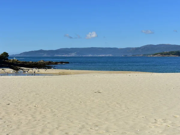 Stranden Med Ljus Sand Måsar Och Blå Himmel Galicien Spanien — Stockfoto