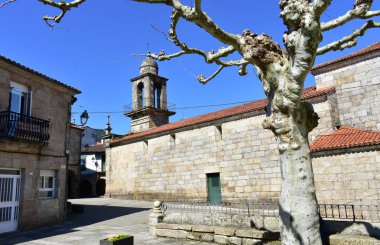 Santa Maria Magdalena Ortaçağ Kilisesi, yan görünümü ile Barok Kulesi ve ağaç. Ribadavia, İspanya.