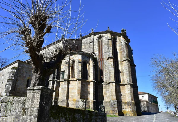 Gudsmanifestation Gothic Spanska Gotiska Landmärke Santo Domingo Kyrkan Och Klostret — Stockfoto