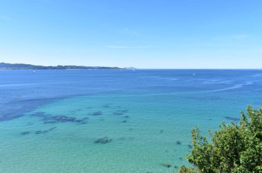 Ağaçlar, turkuaz su ve yelkenli tekneler ile Bay. Rias Baixas, İspanya.