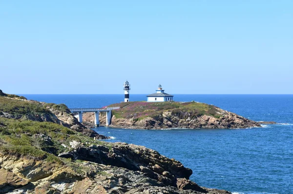 Island with two lighthouses and violet flowers. View from a cliff, sunny day. Isla Pancha, Ribadeo, Spain.