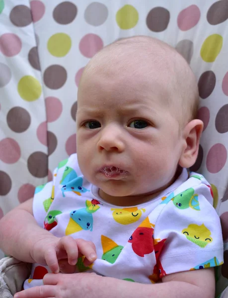 Newborn Baby Blonde Boy Blue Eyes Seven Weeks — Stock Photo, Image