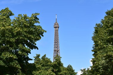 Güneşli bir günde Champ de Mars ağaçları ile Tur Eyfel. Paris, Fransa.