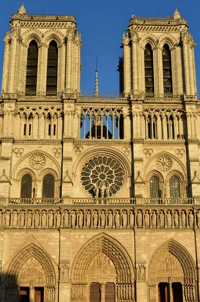 Façade Cathédrale Notre Dame Paris Gros Plan Coucher Soleil Avec — Photo