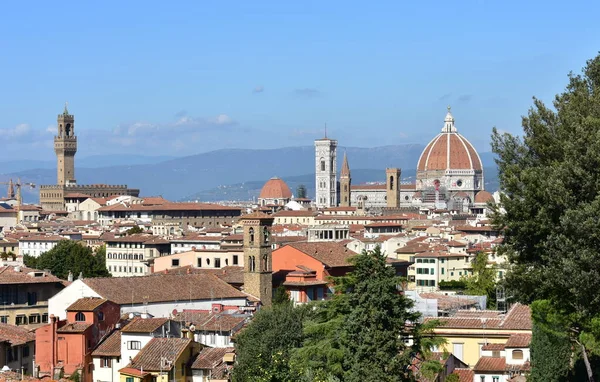 Florence Stadsgezicht Met Het Palazzo Vecchio Cattedrale Santa Maria Del — Stockfoto