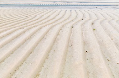  Zanzibar, piach, woda, odplyw oceanu