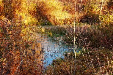 Peri sihirli göl, bataklık
