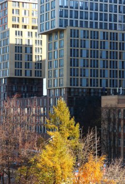 sonbahar şehirde gökdelen