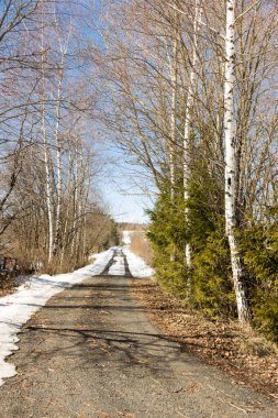 bahar manzarası, kırsalda yol ve alanda kar erime