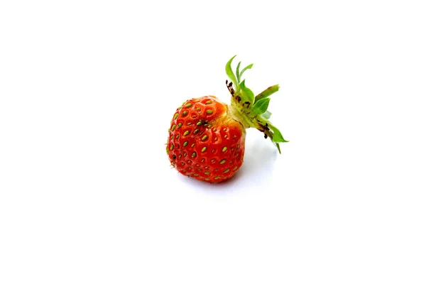 Isolierte Rote Erdbeere Mit Grünen Körnern Auf Weißem Hintergrund — Stockfoto