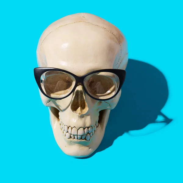 Human skull in cat-eye glasses on blue background