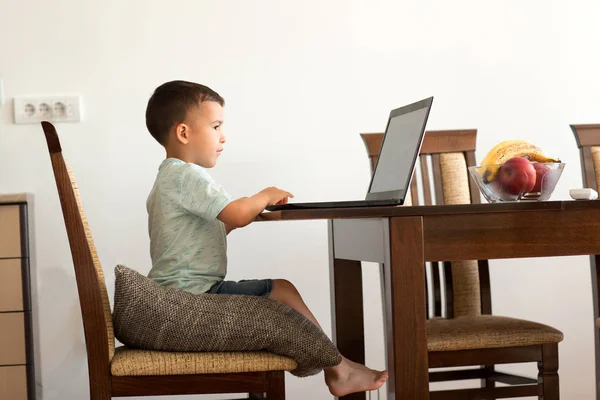 Young Lad Exploring Internet Neighborhood Online World His Computer — Stock Photo, Image