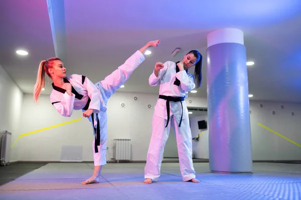 Martial artists showing dedication and discipline in taekwondo