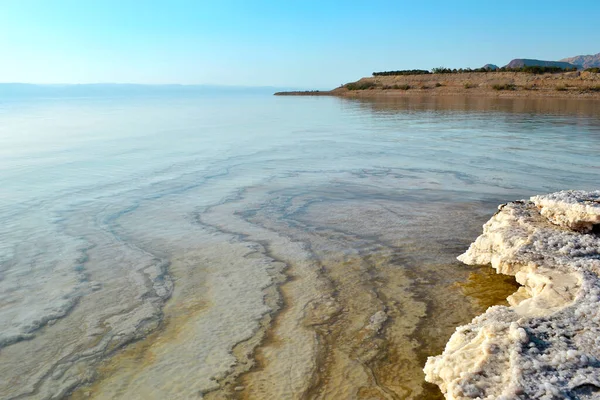 Mar Morto Una Costa Creata Dal Sale Forma Strati Sale — Foto Stock