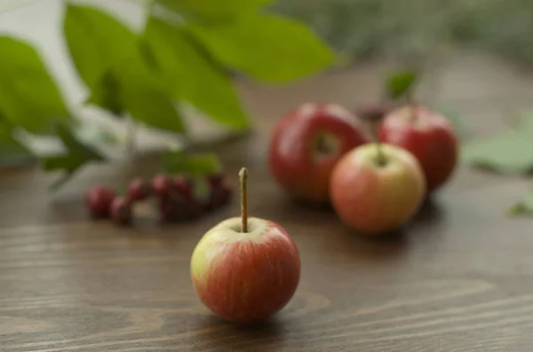 Colorful Autumn Leaves Nuts Apples Dark Wooden Table — Stock Photo, Image