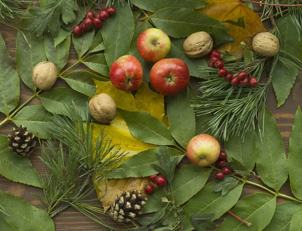 Bunte Herbstblätter Nüsse Und Äpfel Auf Einem Dunklen Holztisch Stockfoto