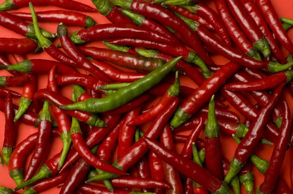 Peperoncini Rossi Piccanti Appena Raccolti Dal Giardino — Foto Stock