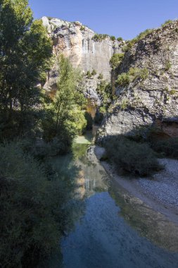 Ainsa, huesca, İspanya'da Auttum orman manzarası