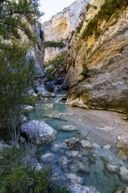 Ainsa, huesca, İspanya'da Auttum orman manzarası