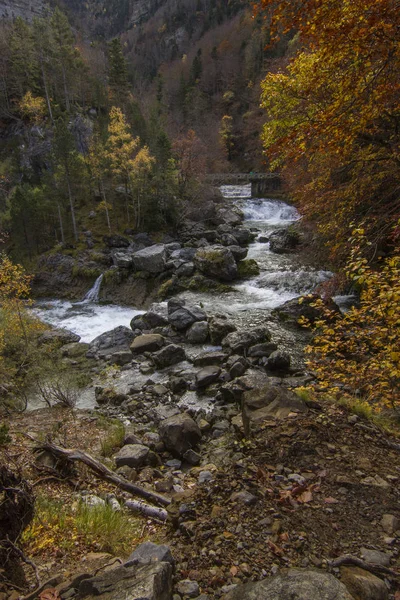 Auttum erdei táj Ainsa, Huesca, Spanyolország — Stock Fotó