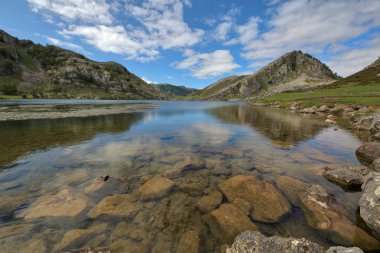 Uga ile picos de Europa panorama covadonga gölleri