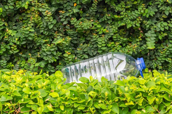 Botella Plástico Agua Una Planta Verde — Foto de Stock