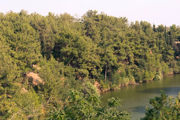 ギリシャサーミのダムの森の川の風景 — ストック写真