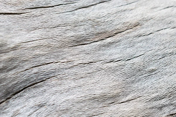 Beyaz ağaç ahşap doku