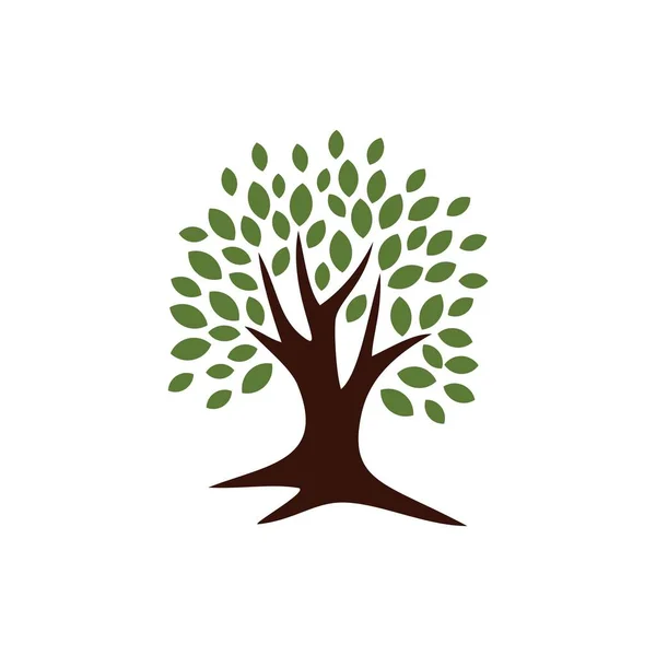 Yeşil Ağaç Yaprakları Logo Şablonu — Stok Vektör